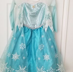 Disney's Elsa's dress
